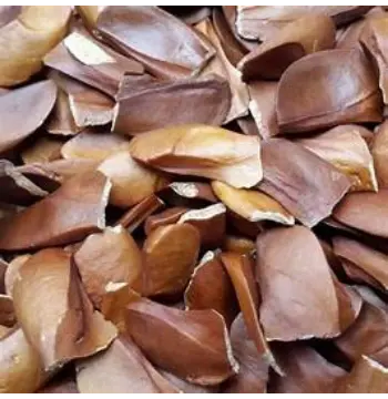 Fresh Sky Fruit Seeds